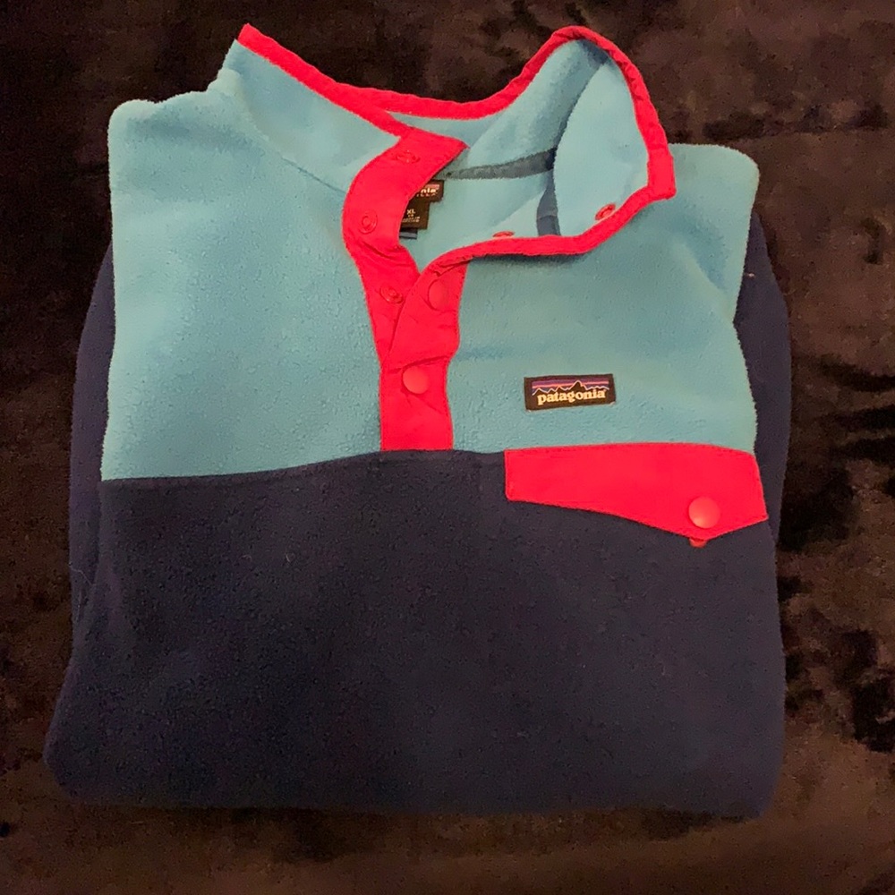 Patagonia Synchilla Pullover